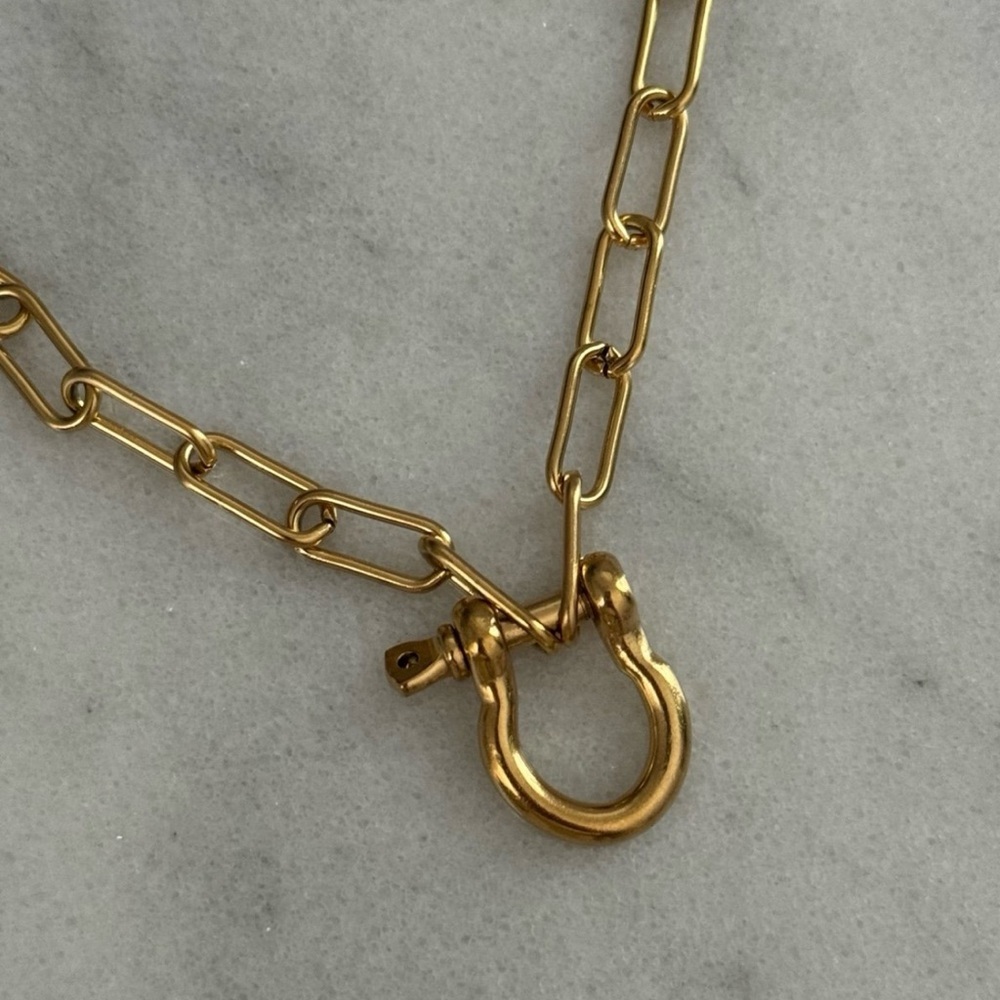 COPY - Gold Carabiner Clasp Charm Chain Link Necklace  

Brand New
